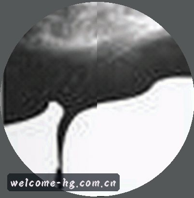 孙丽